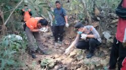 Kerangka Manusia Ditemukan oleh Pencari Biawak di Hutan Tuban, Menciptakan Kegaduhan