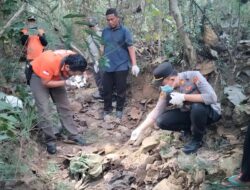 Kerangka Manusia Ditemukan oleh Pencari Biawak di Hutan Tuban, Menciptakan Kegaduhan