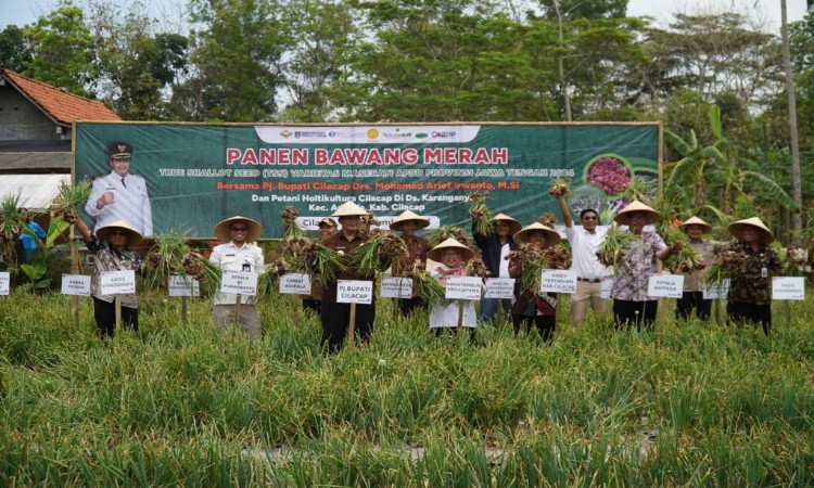 Pemkab Cilacap Optimalkan Produksi Bawang Merah untuk Memenuhi Kebutuhan