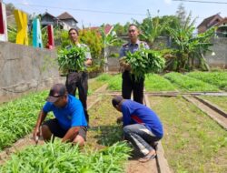 Belasan Napi Lapas Klas 2 A Kediri Berusaha untuk Mewujudkan Kemandirian Setelah Bebas dengan Program Asimilasi