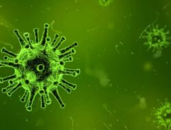 Penanganan dan Tantangan Rwanda dalam Menghentikan Wabah Virus Marburg