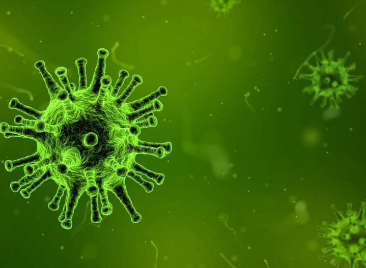 Penanganan dan Tantangan Rwanda dalam Menghentikan Wabah Virus Marburg