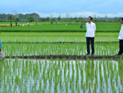 Aktivis Papua Menuntut Dihentikannya Proyek Pertanian Satu Juta Hektar di Merauke