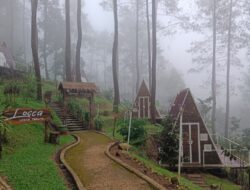 “Liburan Tahun Baru di Locca Lodge Trawas: Alam & Kenyamanan”