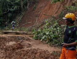 Solusi Longsor Sei Bingai: Jalur Alternatif Langkat-Karo
