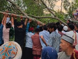 Tragis! Korban Tewas Tertimpa Pohon Saat Salat Idulfitri di Pemalang