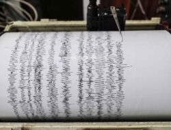 Gempa Bumi Magnitudo 6,3 Maluku Barat Daya: Dampak dan Penanganan