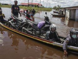 Banjir Barito Utara Kalteng: Dampak Rendam Puluhan Desa
