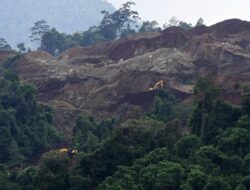 Kajati Sulteng Tetapkan 4 Tersangka Kasus Tambang Nikel Ilegal: Info Terbaru