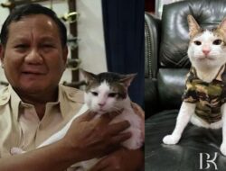 Bobby Kertanegara Tampil di PetFest Indonesia 2025: Selebritas Kucing