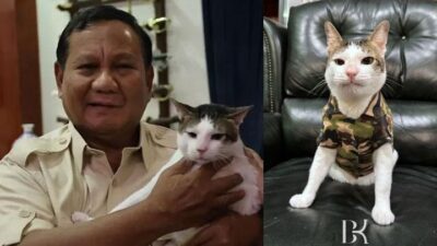Bobby Kertanegara Tampil di PetFest Indonesia 2025: Selebritas Kucing