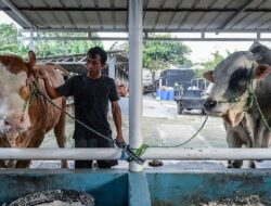 Idul Adha 2025 Libur: Cek Tanggalnya dan Durasi Cuti