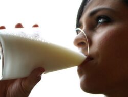 4 Pilihan Susu Alternatif untuk Pengganti Susu Sapi