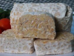5 Tips Menyimpan Tempe agar Tetap Segar dan Awet