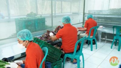 Pemberdayaan Komunitas Lokal dan Keberlanjutan Lingkungan di Arista Montana