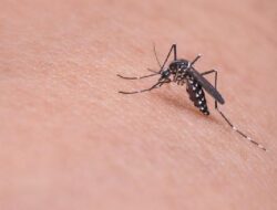 Pemberdayaan Masyarakat: Kunci Strategi Nasional Penanggulangan Dengue