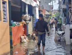 Banjir Rob Landa Pesisir Surabaya, Dampak Rumah Warga Terendam