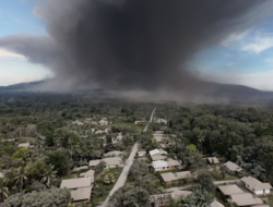 Gunung Lewotobi Laki-laki Erupsi: Semburan Abu Vulkanik 800 Meter