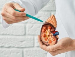 75 Tahun Kilas Balik Transplantasi Ginjal Pertama oleh Richard H. Lawler