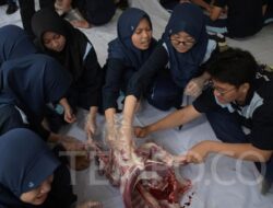Tips Aman Konsumsi Daging Kambing bagi Penderita Hipertensi