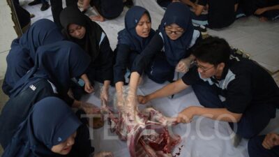 Tips Aman Konsumsi Daging Kambing bagi Penderita Hipertensi