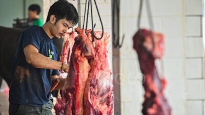 Mitos & Fakta Daging Kambing: Kenali Faktanya!