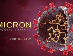 Fakta Subvarian Virus Baru Covid-19: Apa Yang Perlu Anda Ketahui