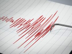 Gempa M 5,1 Terjadi di Tanimbar Maluku, Tanpa Potensi Tsunami