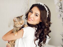Mengapa Kucing Pilihan Utama Sebagai Hewan Peliharaan?