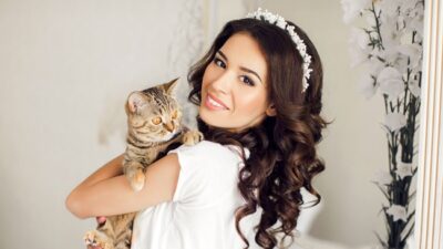 Mengapa Kucing Pilihan Utama Sebagai Hewan Peliharaan?