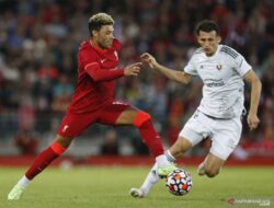 Profil Ante Budimir: Striker Baru Real Madrid