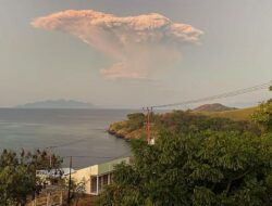Lewotobi Laki Masih Status Awas: Erupsi Abu 2 Km!