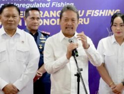 Seruan Zita Anjani: Urgent Message on Raja Ampat