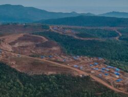 KPK Petakan Tambang Pulau Kecil: Momen di Ambang