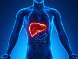 5 Tanda Penyakit Liver Membaik: Gejala Sembuh yang Perlu Diketahui