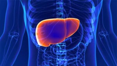 Jangan Abaikan: 7 Penyakit Liver yang Perlu Diwaspadai
