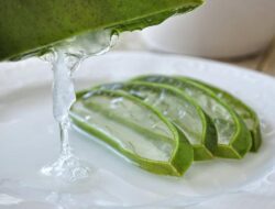 Manfaat Validasi Ilmiah dalam Keamanan Aloe Vera