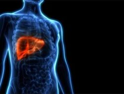 5 Tips Menjaga Kesehatan Liver: Panduan Wajib!