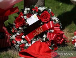7 Pemain Sepak Bola Dunia Meninggal Kecelakaan Mobil