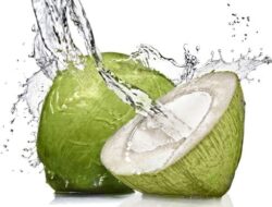 Manfaat dan Risiko Mengonsumsi Air Kelapa: Apa yang Perlu Anda Ketahui