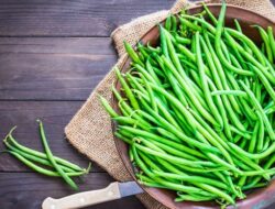 Apa Kandungan Gizi Buncis? Temukan Fakta Nutrisi Terbaru!