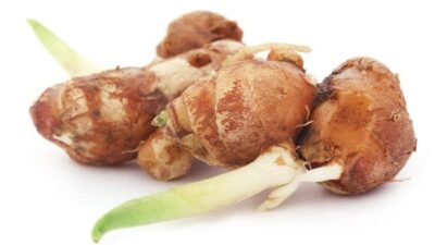 6 Manfaat Kencur untuk Kesehatan: Solusi Asam Urat yang Ampuh