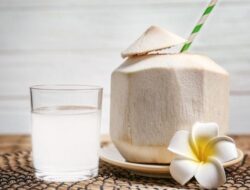 5 Orang yang Tidak Disarankan Minum Air Kelapa