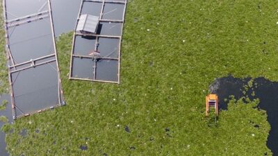 Waduk Cirata Terancam Bahaya Merkuri