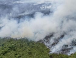 Karhutla Sumut Juni-Juli 1.804 Hektare: Update Terbaru