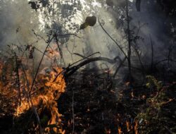 Polisi Tersangka Karhutla di Riau: 46 Orang Dilibatkan