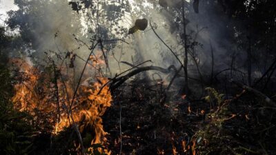Polisi Tersangka Karhutla di Riau: 46 Orang Dilibatkan
