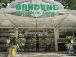 Walkot Bandung Beri Ultimatum Manajemen Bandung Zoo