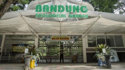 Walkot Bandung Beri Ultimatum Manajemen Bandung Zoo