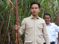 Kisah Sukses Gibran: Kekayaan Rp27,519 M Tanpa Utang